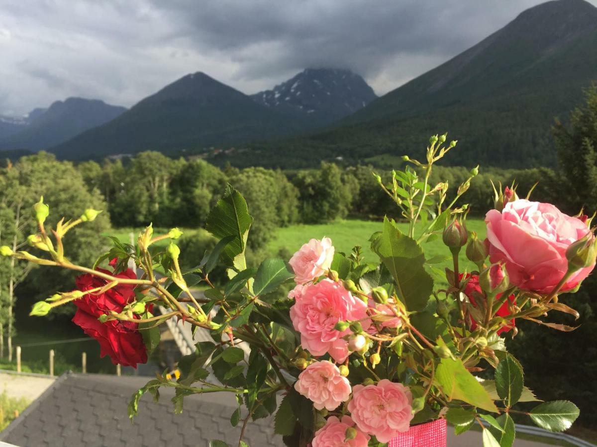 Apartment Dreamvalley Isfjorden 외부 사진